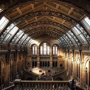 museum-museum-300